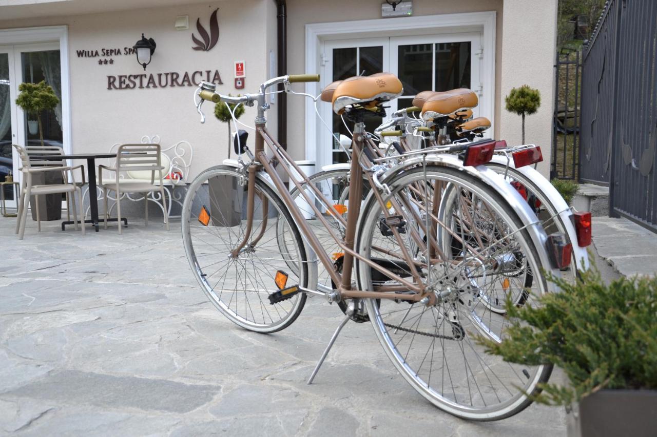 Willa Sepia Spa Wisla Bagian luar foto